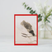 ヴィンテージ探検家、PolarギアのRoald Amundson ポストカード (スタンド正面)