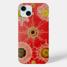 ヴィンテージ改変ヘッケル