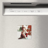 ヴィンテージ救出庫子猫磁石 マグネット (インサイチュ (食洗機))