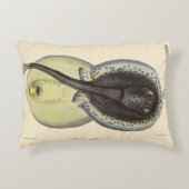ヴィンテージ斑点アカエイ、海洋海動物 アクセントクッション (正面)