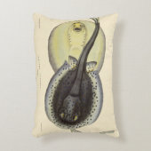 ヴィンテージ斑点アカエイ、海洋海動物 アクセントクッション (正面(垂直))