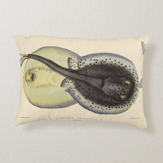 ヴィンテージ斑点アカエイ、海洋海動物 アクセントクッション (裏面)