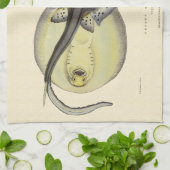 ヴィンテージ斑点アカエイ、海洋海動物 キッチンタオル (折り畳み)