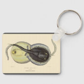 ヴィンテージ斑点アカエイ、海洋海動物 キーホルダー (正面)