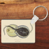 ヴィンテージ斑点アカエイ、海洋海動物 キーホルダー (正面)