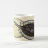 ヴィンテージ斑点アカエイ、海洋海動物 コーヒーマグカップ (中央)