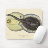 ヴィンテージ斑点アカエイ、海洋海動物 マウスパッド (マウス)