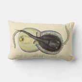 ヴィンテージ斑点アカエイ、海洋海動物 ランバークッション (裏面)