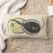 ヴィンテージ斑点アカエイ、海洋海動物 ランバークッション (ブランケット)