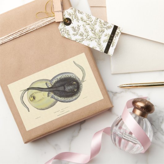 ヴィンテージ斑点アカエイ、海洋海動物 長方形シール (ギフト)