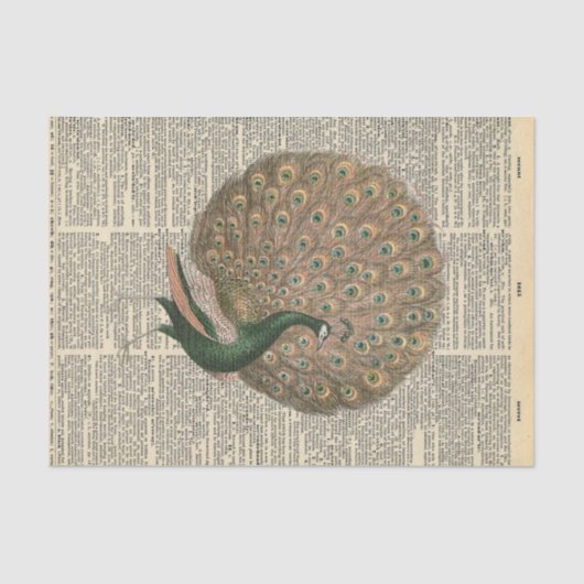 ヴィンテージ新聞とキジの切り離 薄葉紙 (正面)