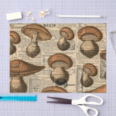 ヴィンテージ新聞とキノコ 薄葉紙 (クラフト)