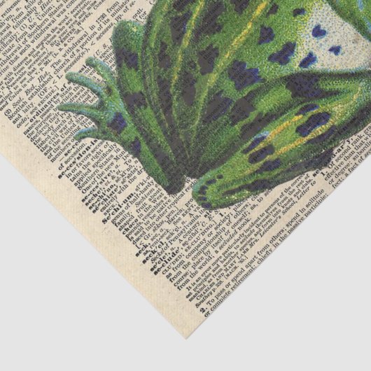 ヴィンテージ新聞とキング・フロッグの切り離 薄葉紙 (詳細)