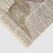 ヴィンテージ新聞とバームフクロウの切り離 薄葉紙 (詳細)