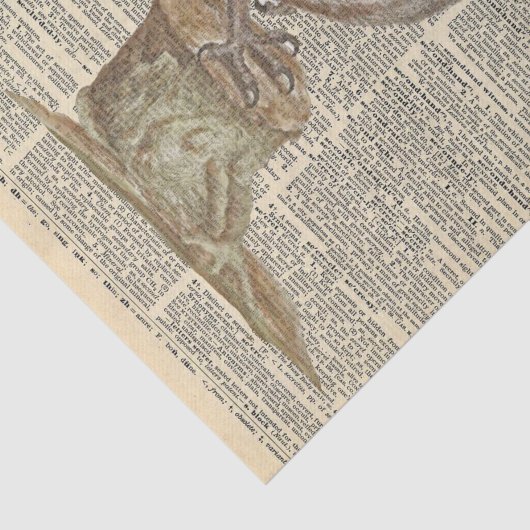 ヴィンテージ新聞とバームフクロウの切り離 薄葉紙 (詳細)