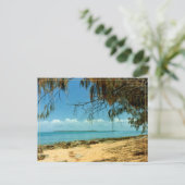 ヴィンテージ旅行はがき1970sビーチ写真 ポストカード (スタンド正面)