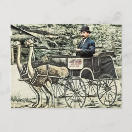 ヴィンテージ旅行はがき ポストカード