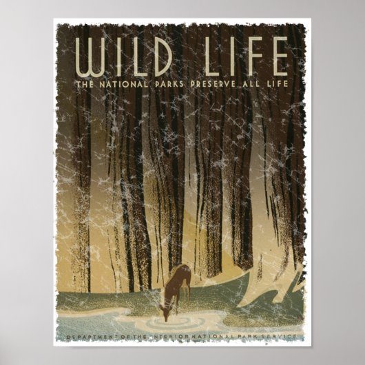 ヴィンテージ旅行ポスター – Wildlife circa 1934 ポスター (正面)