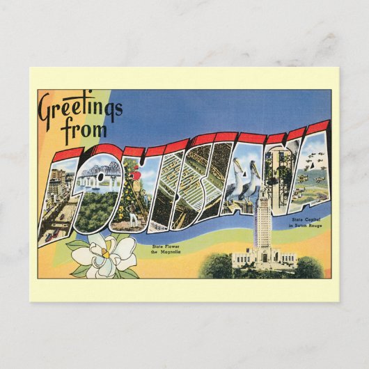 ヴィンテージ旅行,ルイジアナ,住所の変更 案内ポストカード (正面)