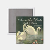 ヴィンテージ日付を保存！美しい白鳥が泳ぐ マグネット (正面/裏面)