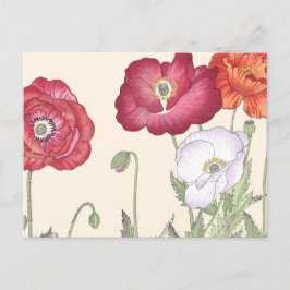 ヴィンテージ日本のの浮世絵のケシの花 ポストカード