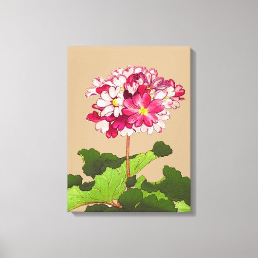 ヴィンテージ日本のアジサイ。ピンクと緑 キャンバスプリント (正面)