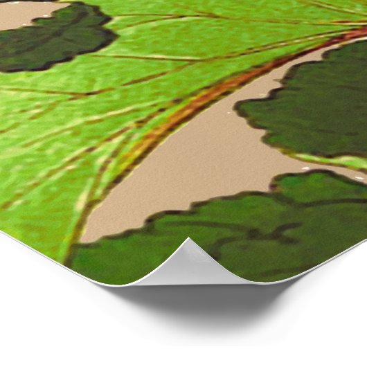 ヴィンテージ日本のアジサイ。ピンクと緑 ポスター (角)