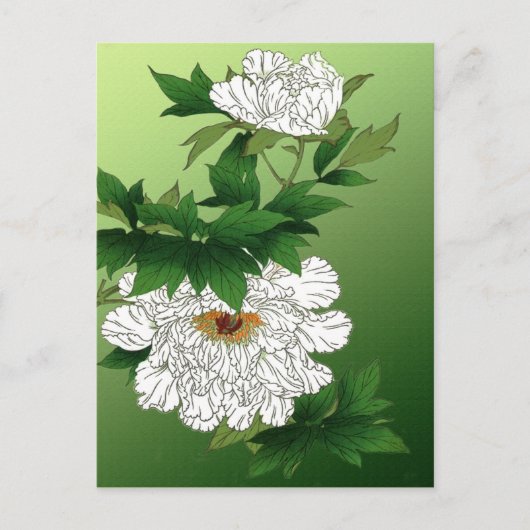 ヴィンテージ日本のスケッチ ポストカード (正面)