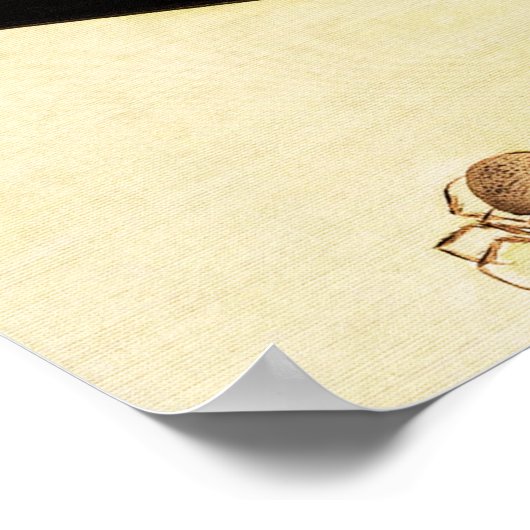 ヴィンテージ日本のネコがスパイダーアートを見る ポスター (角)