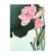 ヴィンテージ日本のハス花