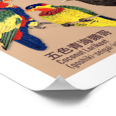 ヴィンテージ日本のバードアトラスイラストレーション ポスター (角)