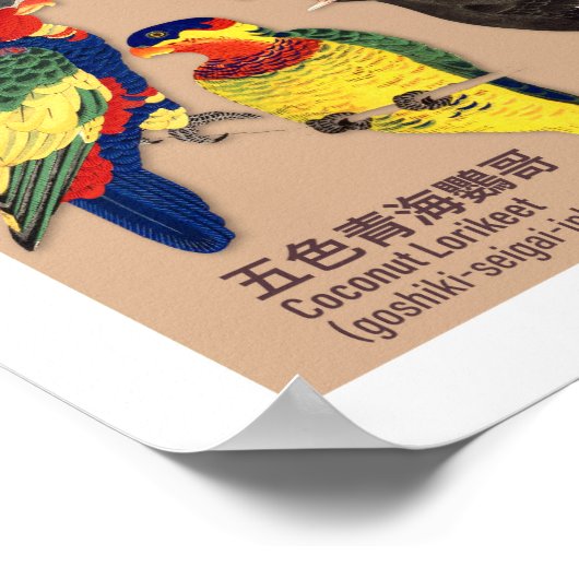 ヴィンテージ日本のバードアトラスイラストレーション ポスター (角)