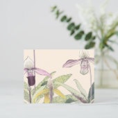 ヴィンテージ日本のパピオペドゥルムオーキッドアート ポストカード (スタンド正面)