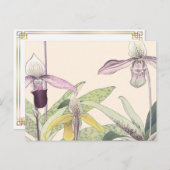 ヴィンテージ日本のパピオペドゥルムオーキッドアート ポストカード (正面/裏面)