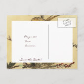 ヴィンテージ日本のパーチメント日付の保存 案内ポストカード (裏面)