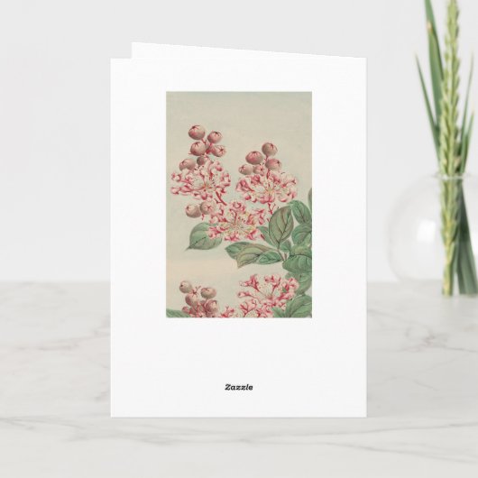 ヴィンテージ日本のファインアートさくらんぼブロッサム誕生日 カード (裏面)