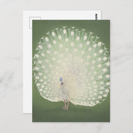 ヴィンテージ日本のファインアート |孔雀 ポストカード (正面/裏面)