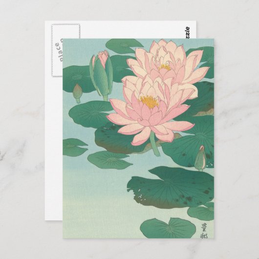 ヴィンテージ日本のファインアート：開花睡蓮 ポストカード (正面/裏面)