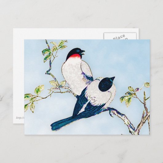 ヴィンテージ日本のフィンチのインクスケッチ ポストカード (正面/裏面)