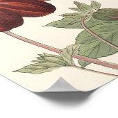 ヴィンテージ日本のフローラアートオレンジ赤い花 ポスター (角)
