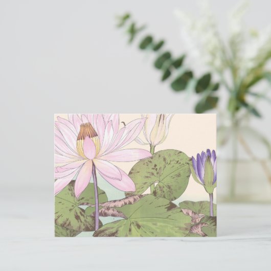 ヴィンテージ日本のフローラア淡い色のートピンクロータス ポストカード (スタンド正面)