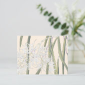 ヴィンテージ日本の白スパイダーオーキッドアート ポストカード (スタンド正面)