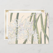 ヴィンテージ日本の白スパイダーオーキッドアート ポストカード (正面/裏面)