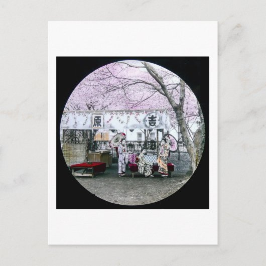 ヴィンテージ日本の芸者がさくらんぼの下に座る ポストカード (正面)