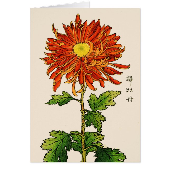 ヴィンテージ日本の菊オレンジと金ゴールド (正面)