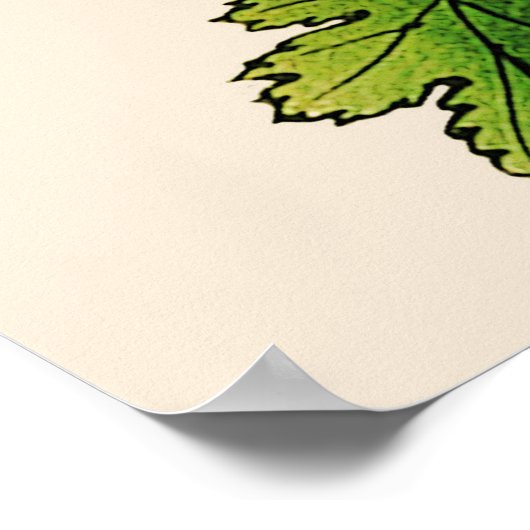 ヴィンテージ日本の菊オレンジと金ゴールド ポスター (角)