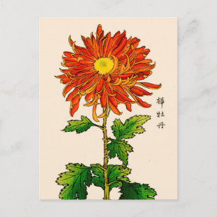 ヴィンテージ日本の菊オレンジと金ゴールド ポストカード