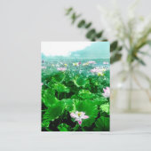 ヴィンテージ日本の蓮池旧日本 ポストカード (スタンド正面)