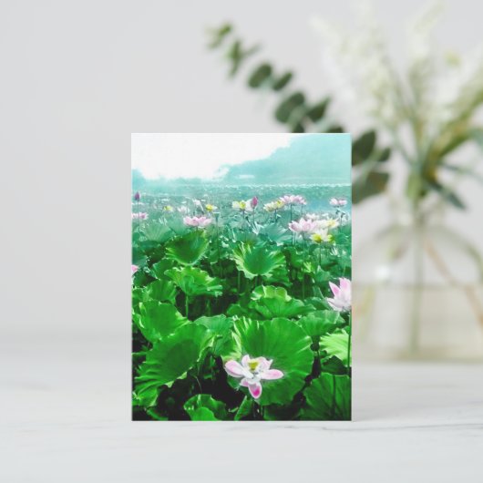 ヴィンテージ日本の蓮池旧日本 ポストカード (スタンド正面)