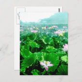 ヴィンテージ日本の蓮池旧日本 ポストカード (正面/裏面)